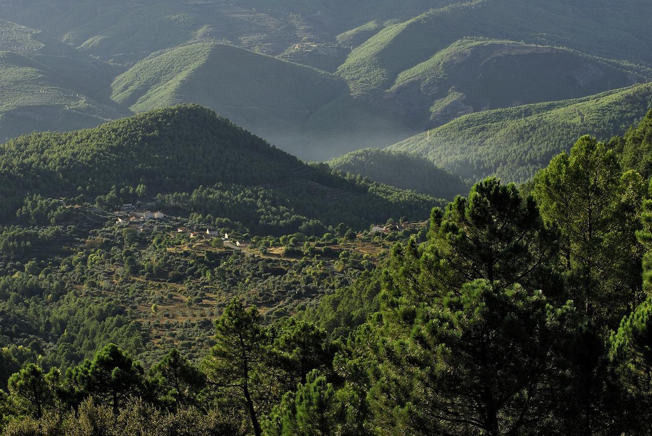 Casas Rurales Tio Frasquito Y Cleto เยสเต ภายนอก รูปภาพ